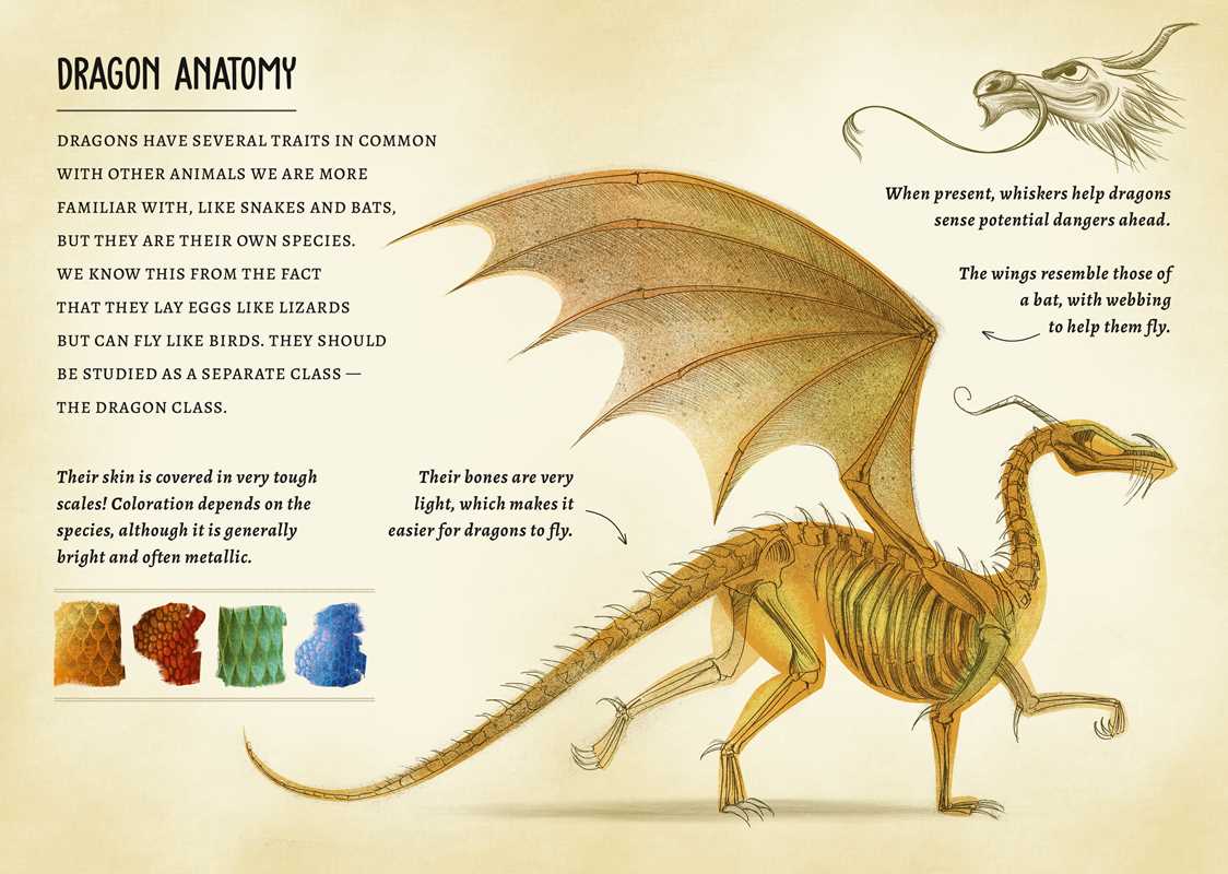 My Little Box of Dragons by: Kits; 14 pages / English