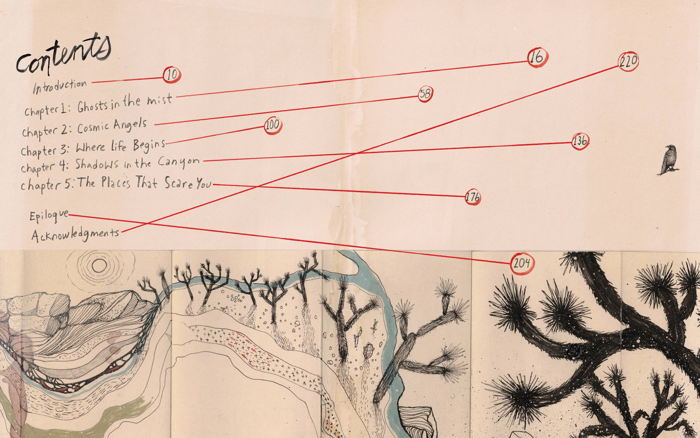 Eventually a Sequoia