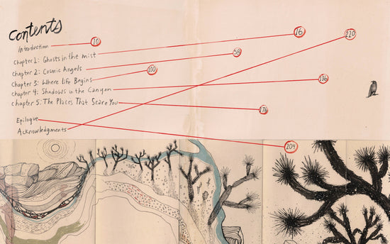 Eventually a Sequoia