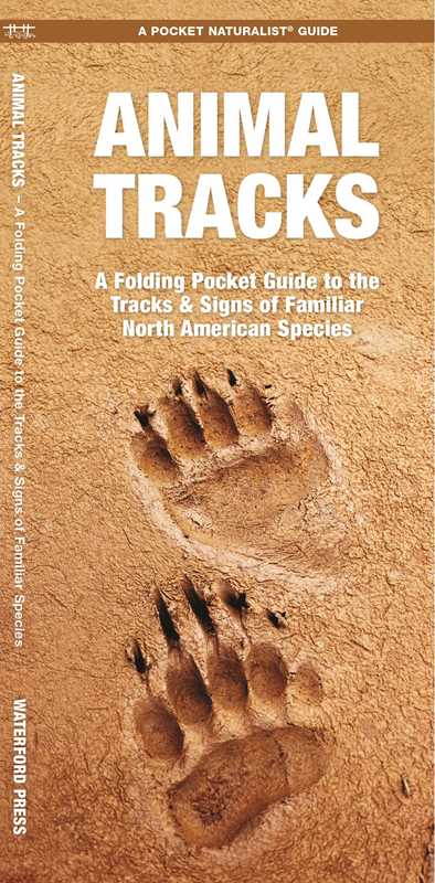 Animal Tracks by James Kavanagh: Pamphlets; 12 pages / English