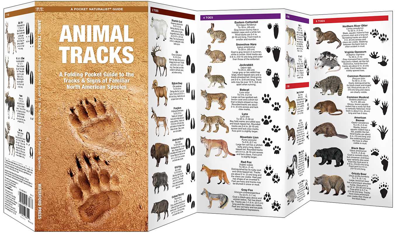 Animal Tracks by James Kavanagh: Pamphlets; 12 pages / English
