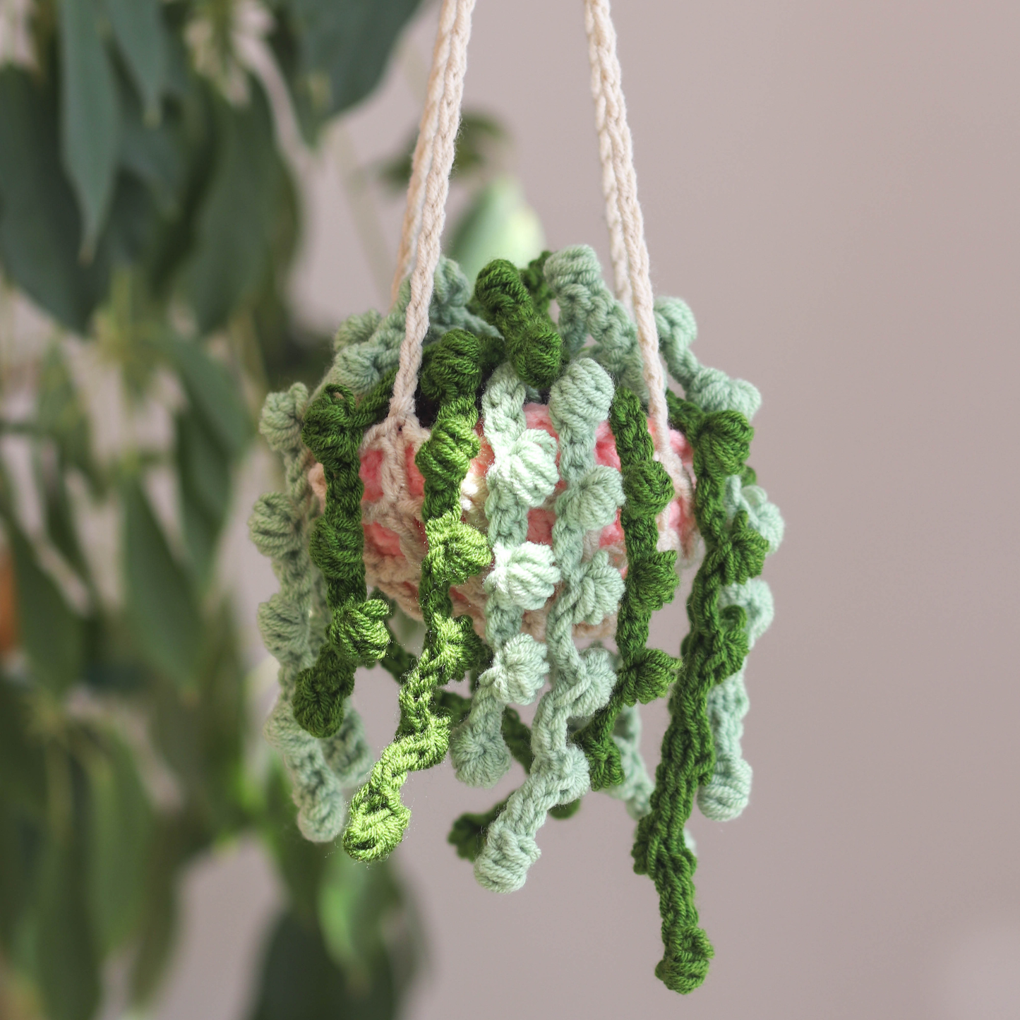 amigurumi hanging plant Amigurumi Hanging Plant Crochet Kit – Shophavenwood