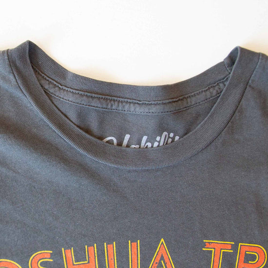 Load image into Gallery viewer, Joshua Tree T-Shirt - USA Made | 100% Cotton: M / Black
