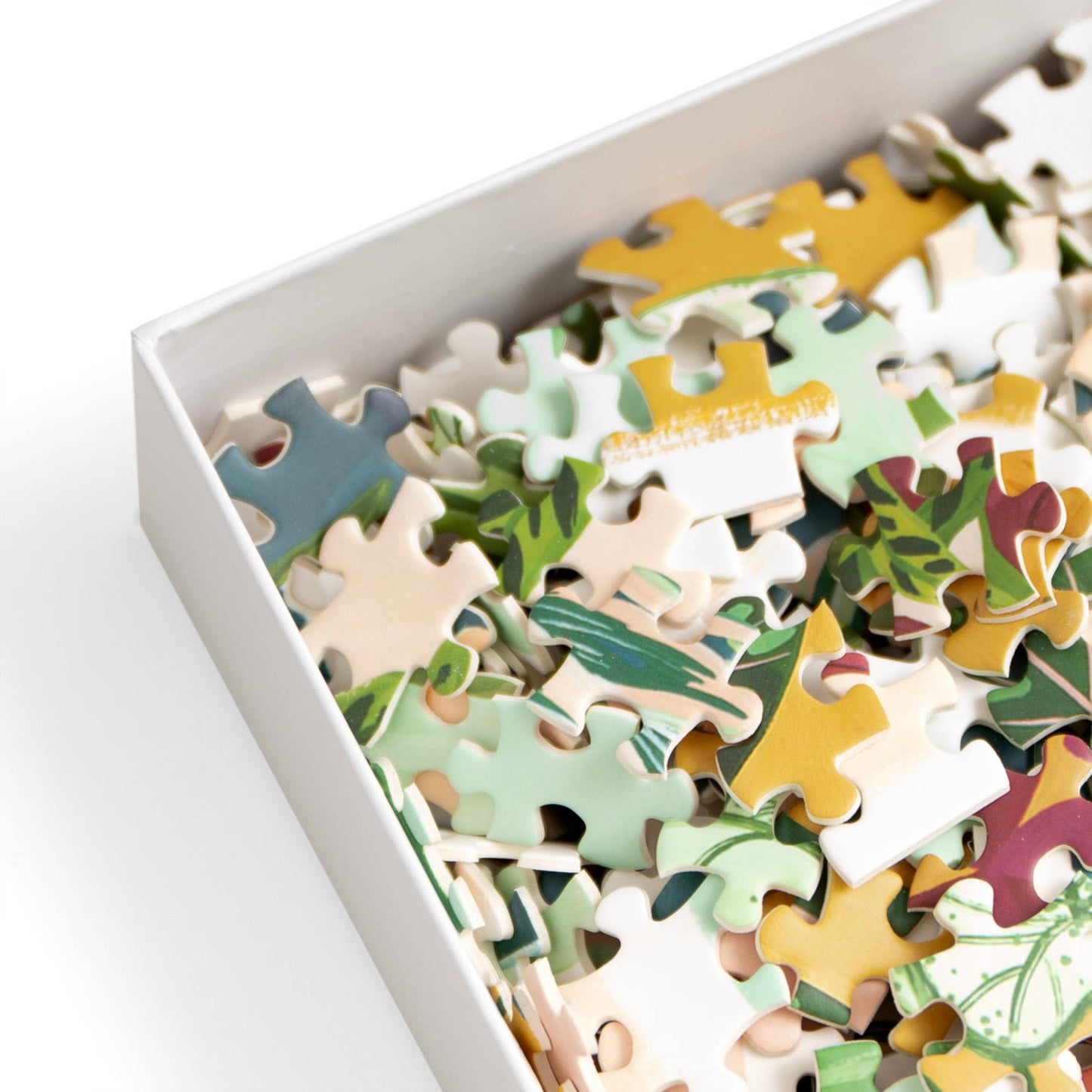 Houseplants Puzzle - 1,000 Piece Jigsaw Puzzle