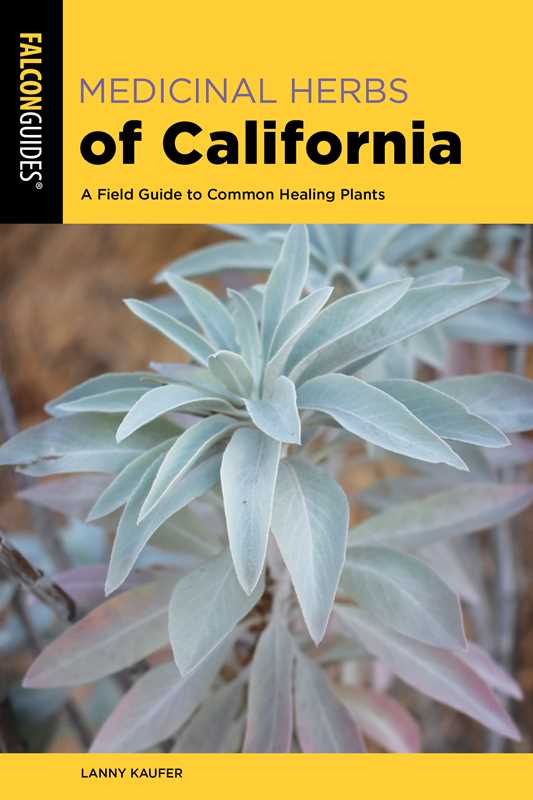 Medicinal Herbs of California by Lanny Kaufer: Paperback; 296 pages / English