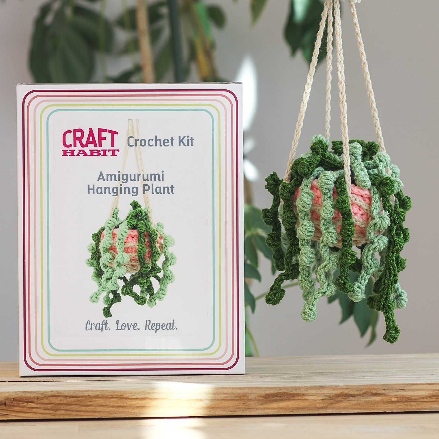 Amigurumi Hanging Plant Crochet Kit 