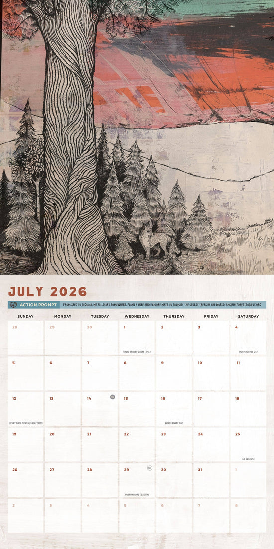 Wild Lines of Jeremy Collins 2026: 12-Month Wall Calendar
