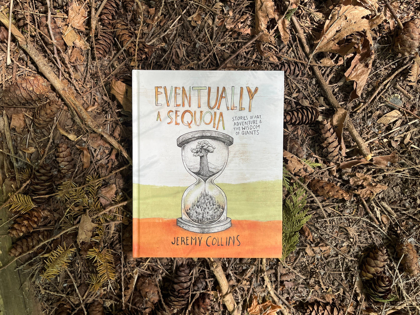 Eventually a Sequoia