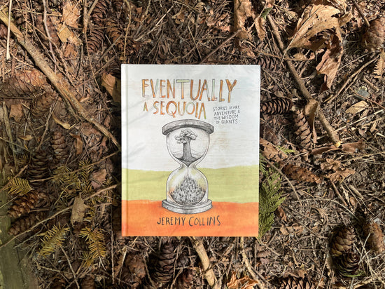 Eventually a Sequoia