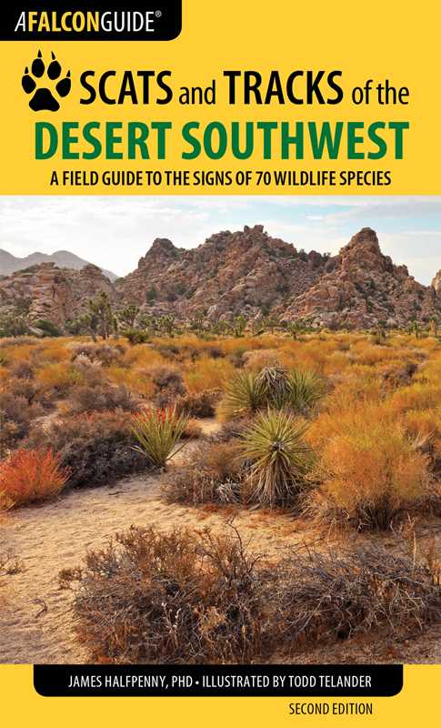 Scats and Tracks of the Desert Southwest by James Halfpenny: Paperback; 192 pages / English