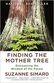 Load image into Gallery viewer, Finding the Mother Tree: Discovering the Wisdom of the Forest
